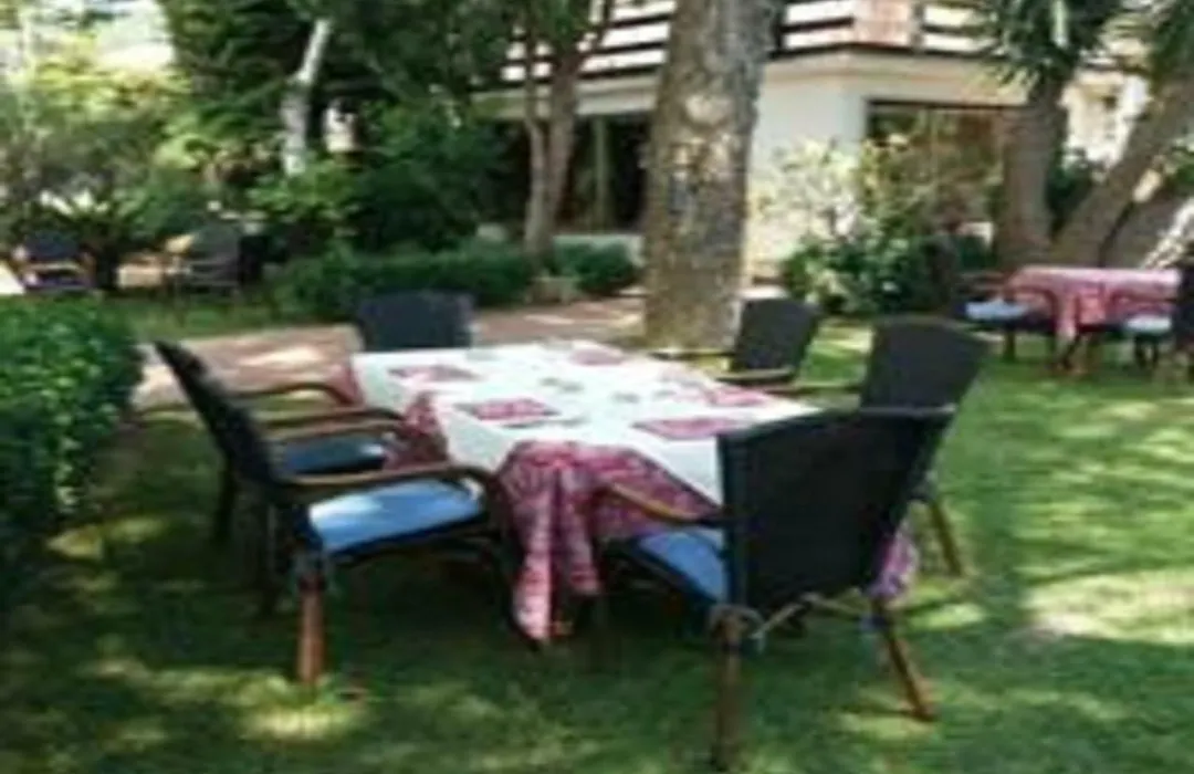 B&B Arechi-1