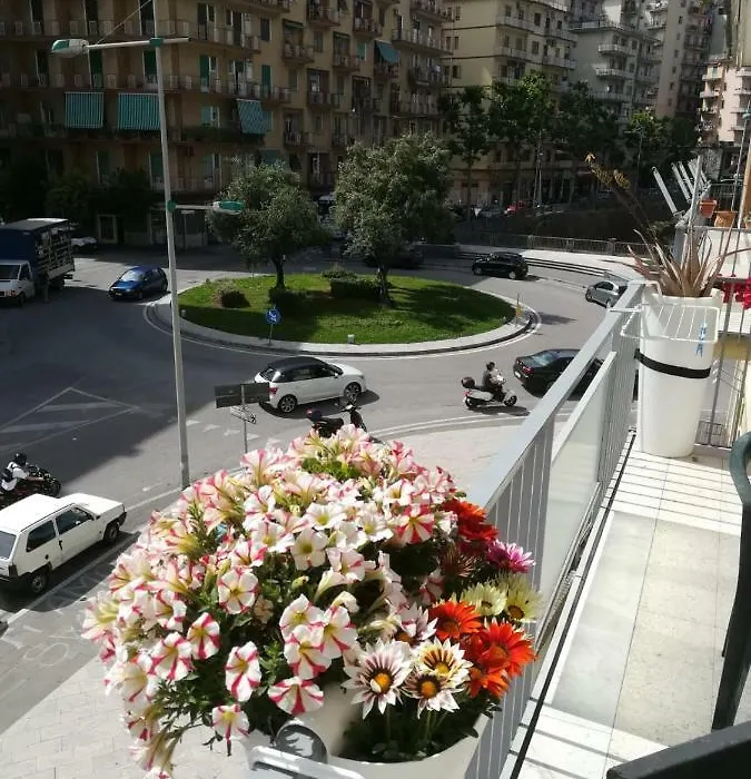 Edelweiss-1