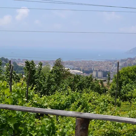 B&B Green Valley-3